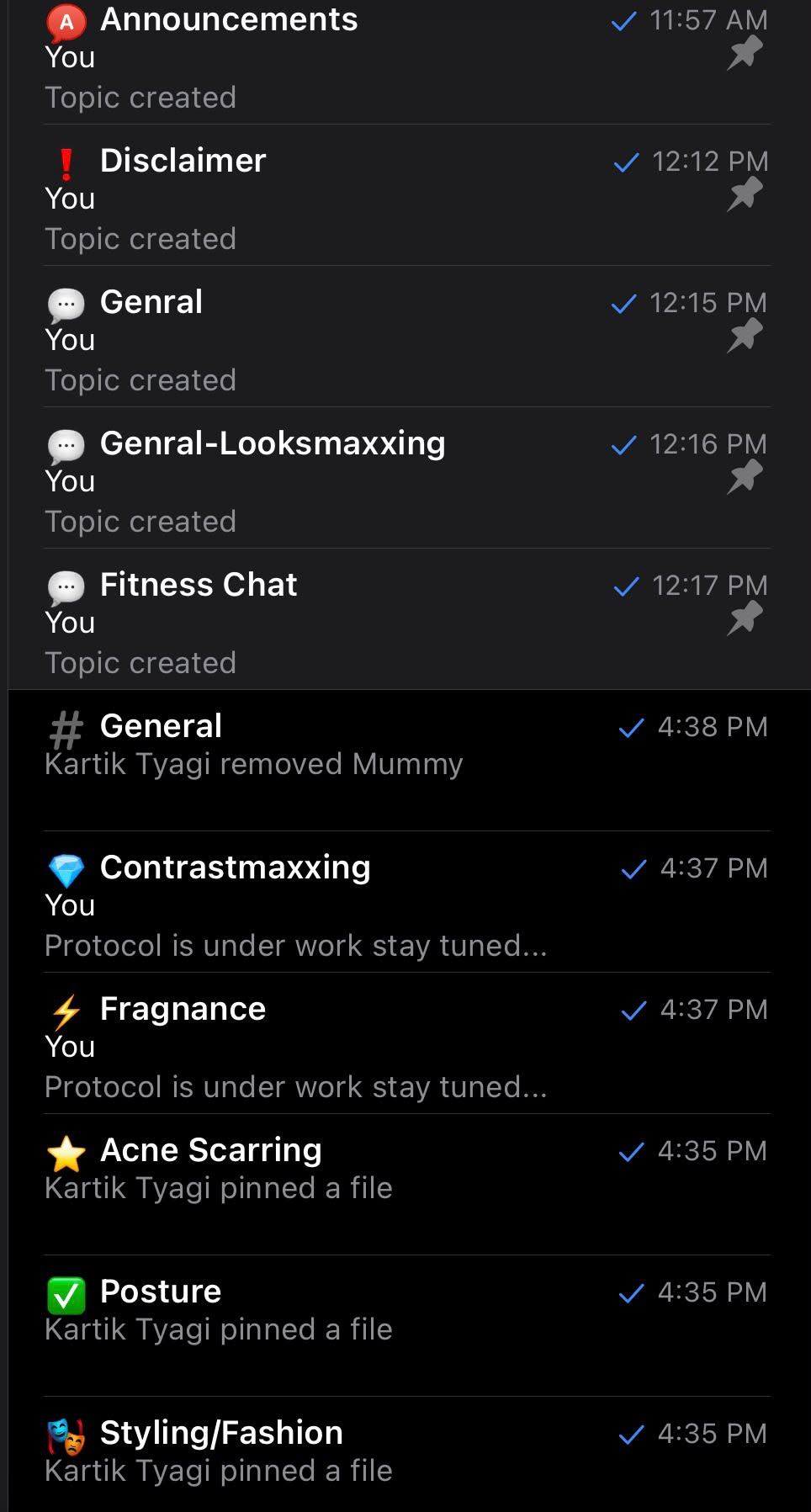 Vysage Telegram topics including General chat, Looksmaxxing, Fitness Chat, and styling